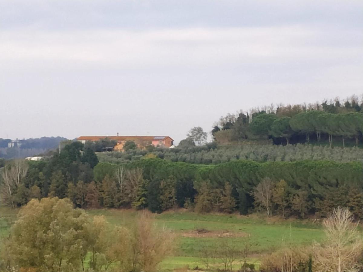 Agriturismo L'Isola Crespina Exterior photo