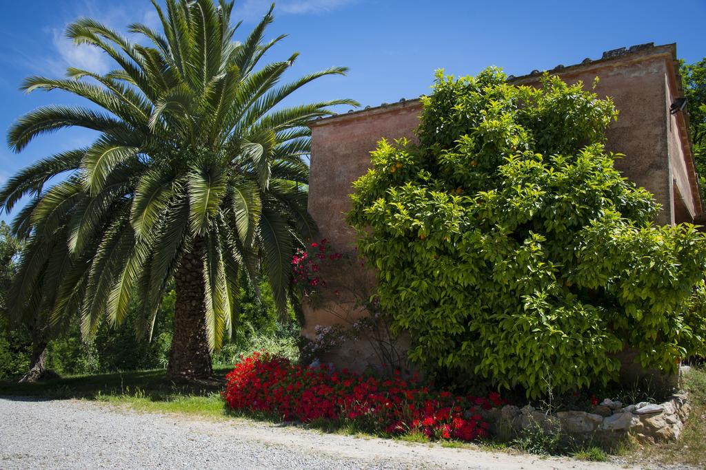 Agriturismo L'Isola Crespina Room photo