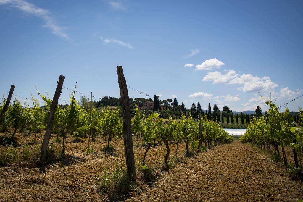 Agriturismo L'Isola Crespina Exterior photo